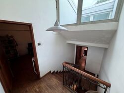 Mimosa Park (D28), Terrace #566154011